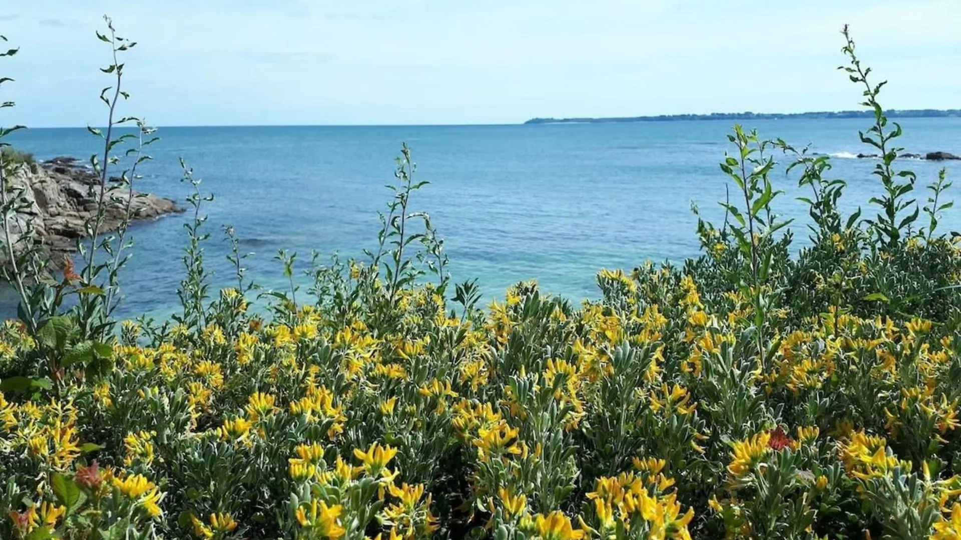 Lovely T2 De Standing Face A La Rade Larmor-Plage Apartment
